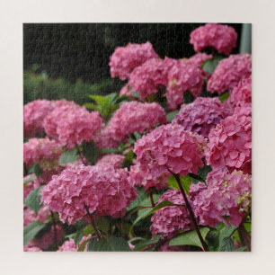 Schöne rosa Hortensienblüten Puzzle