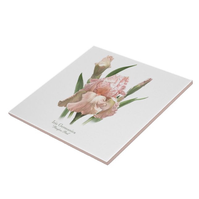 Schöne rosa Iris im botanischen Stil Kunst Fliese (Seite)