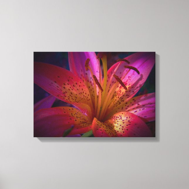Schöne Rosa Liege Leinwanddruck (Vorderseite)