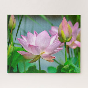 Schöne Rosa Lotus-Blume Puzzle
