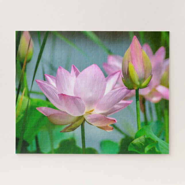 Schöne Rosa Lotus-Blume Puzzle (Horizontal)