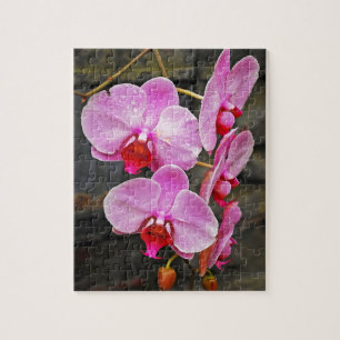 Schöne Rosa Mottenorchideen Puzzle