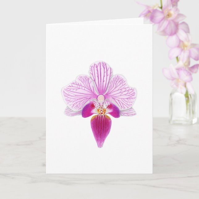 Schöne Rosa Orchidee Karte (Orchidee)