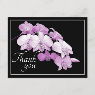Schöne rosa Orchids schwarzer Hintergrund Danke Postkarte