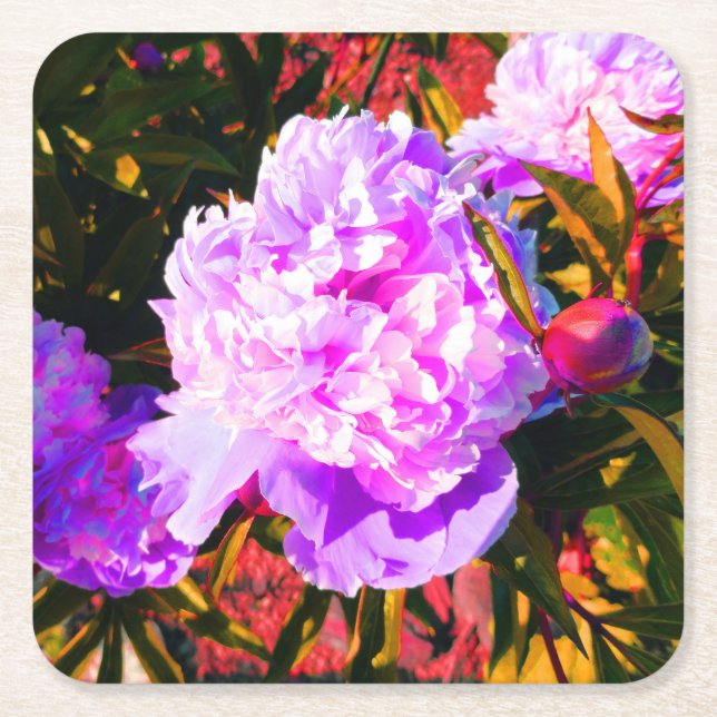 Schöne rosa Peonies Rechteckiger Pappuntersetzer (Vorderseite)