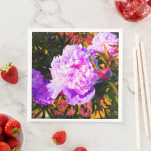 Schöne rosa Pfingstrosen