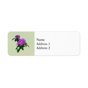 Schöne rosa Rhododendren