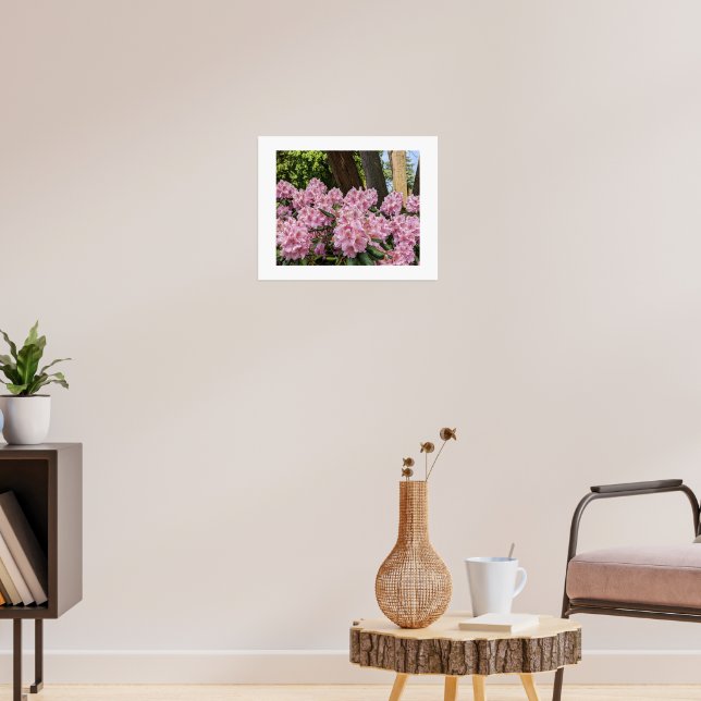 Schöne rosa Rhododendren Poster (Wohnzimmer 3)