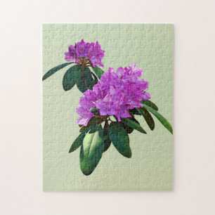 Schöne rosa Rhododendren Puzzle
