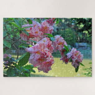 Schöne rosa Rhodos Puzzle