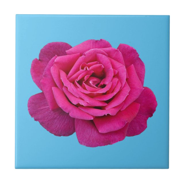 Schöne Rosa Rosa Fliese (Vorderseite)