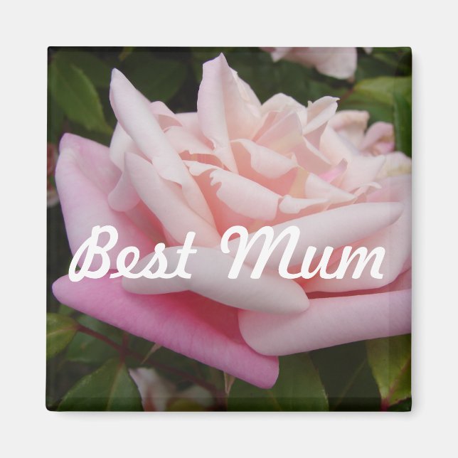 Schöne Rosa Rose Bestes Mum Blume Design Magnet (Vorne)