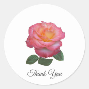 Schöne rosa Rose Danke Klassischer runder Aufklebe Aufkleber