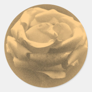 Schöne rosa Rose Nahaufnahme altes Foto Runder Aufkleber