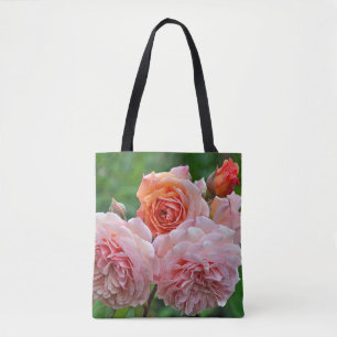 Schöne rosa Rosen