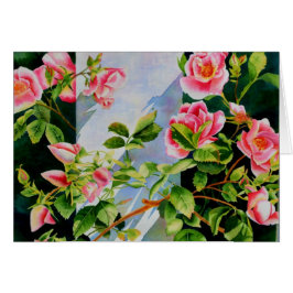 Schöne rosa Rosen Aquarellblüte