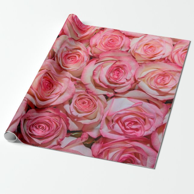 Schöne rosa Rosen Geschenkpapier (Ungerollt)