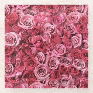 Schöne rosa Rosen Glasuntersetzer