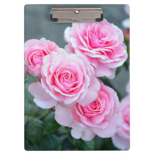 Schöne rosa Rosen Klemmbrett