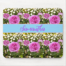 Schöne rosa Rosen und Milchmäuse