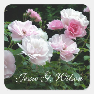 schöne rosa Rosenblumen persönliche Namensaufklebe Quadratischer Aufkleber