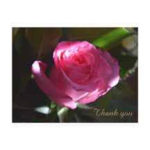 Schöne rosa Rosenkarte