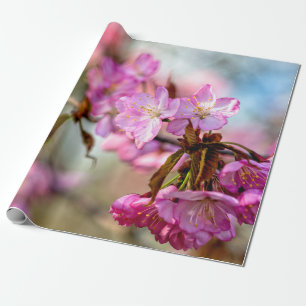 Schöne rosa Sakura-Blume Geschenkpapier