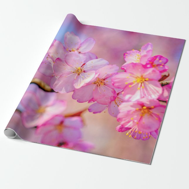 Schöne rosa Sakura-Blume im Frühjahr Geschenkpapier (Ungerollt)