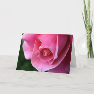 Schöne Rosa-Sitzkarte Karte