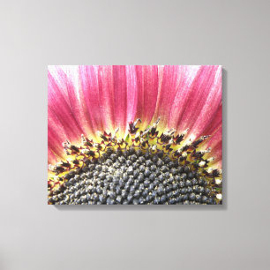 Schöne rosa Sonnenblumen-Leinwanddruck Leinwanddruck