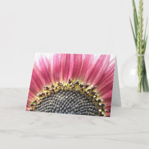 Schöne Rosa Sonnenblumenkarte Karte