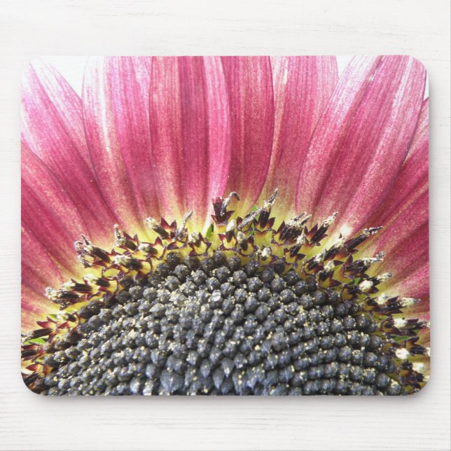 Schöne rosa Sonnenblumenmousepad Mousepad (Vorne)