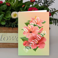 Schöne rosa tropische Hibiskus Blume Geburtstag