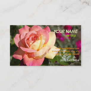 Schöne rosa und gelbe Rosenblume Visitenkarte