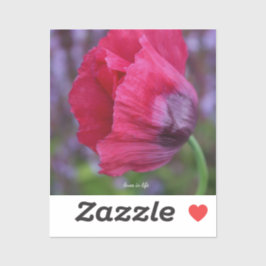 Schöne rosa und Lila Mohnblüte Blume Aufkleber