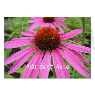 schöne rosa violette Blumen