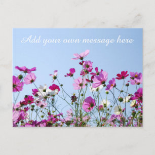 Schöne rosa Wiese mit benutzerdefinierter Nachrich Postkarte