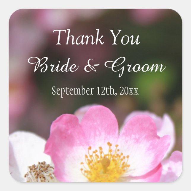 schöne rosa wilde Rose Blume Hochzeit danke Quadratischer Aufkleber (Vorderseite)