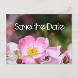 schöne rosa wilde Rose Blume Hochzeit speichern da Ankündigungspostkarte