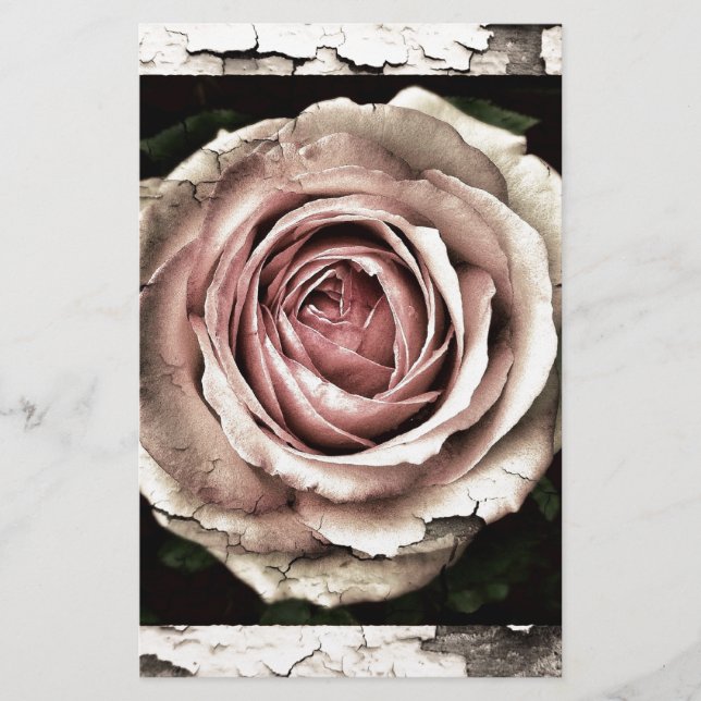 Schöne Rose (Vorderseite)