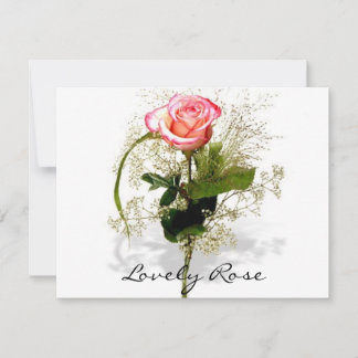 Schöne Rose