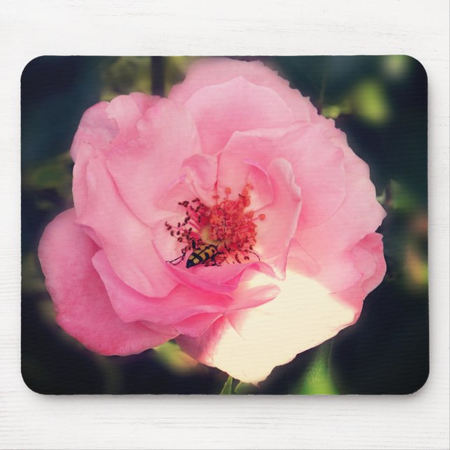Schöne Rose Blumenfotografie Mousepad (Vorne)