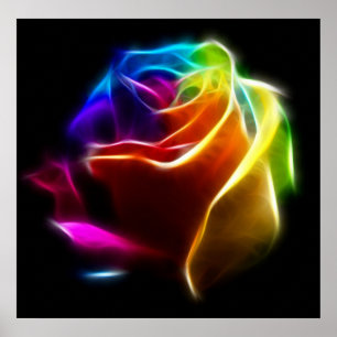 Schöne Rose der Farben Nr. 2 Poster