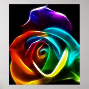 Schöne Rose der Farben Nr. 3 Poster