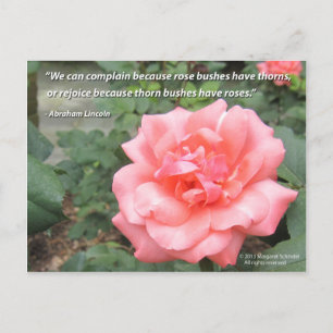 Schöne Rose in Bloom Postcard mit Lincoln Zitat Postkarte