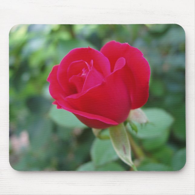 Schöne Rose Mouse Mat Mousepad (Vorne)