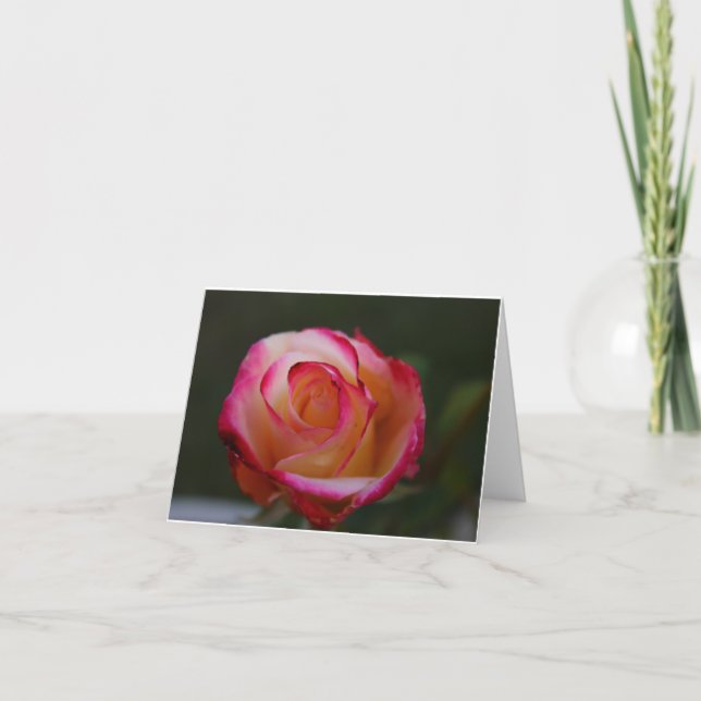 Schöne Rose Note Card Karte (Vorderseite)