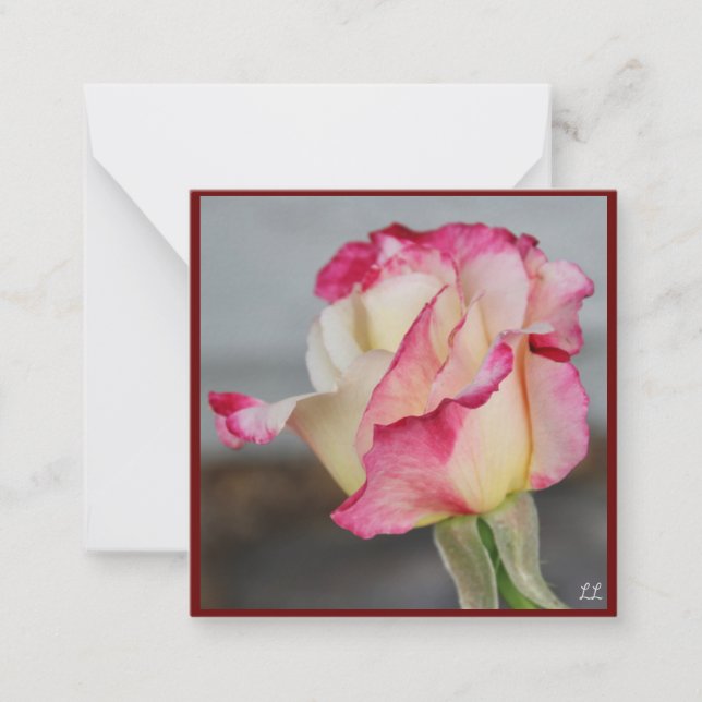Schöne Rose Note Card Mitteilungskarte (Vorderseite)