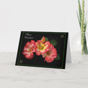 Schöne Rose Weihnachtskarte 2014! Feiertagskarte