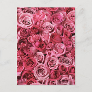 Schöne Rosen Postkarte